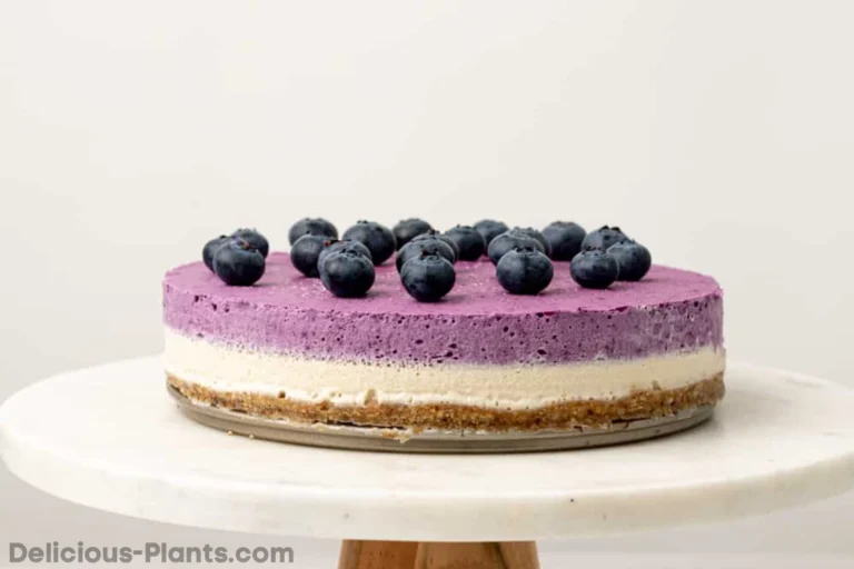 Vegan Blueberry Cheesecake