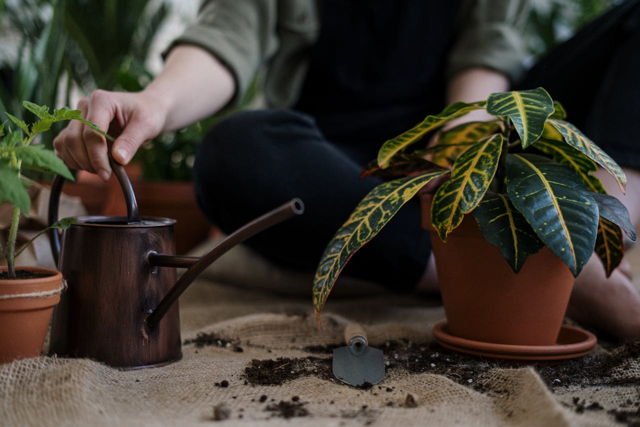 gallery-3 A gardener tending to houseplants indoors with a watering can and trowel.