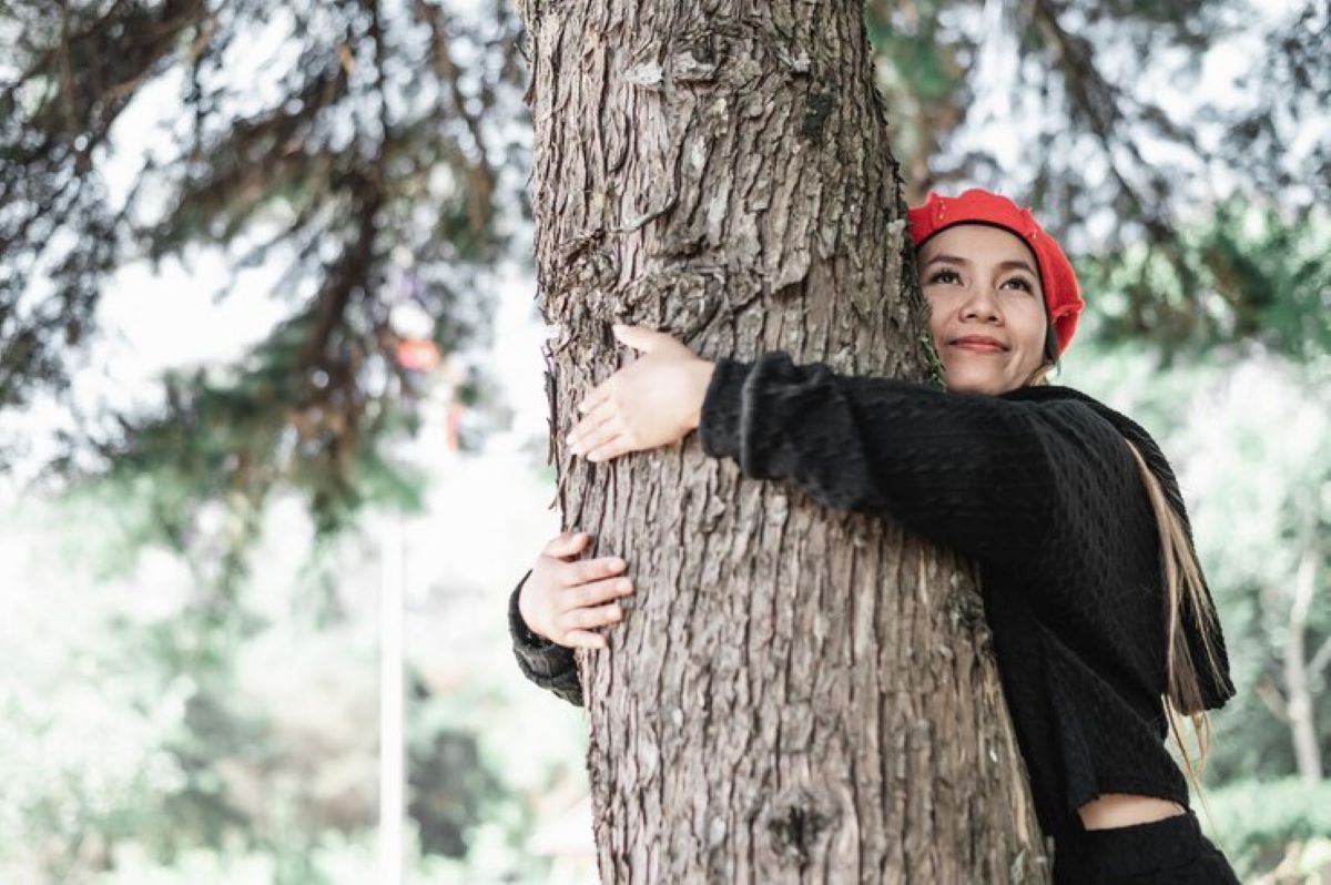 tree removal service