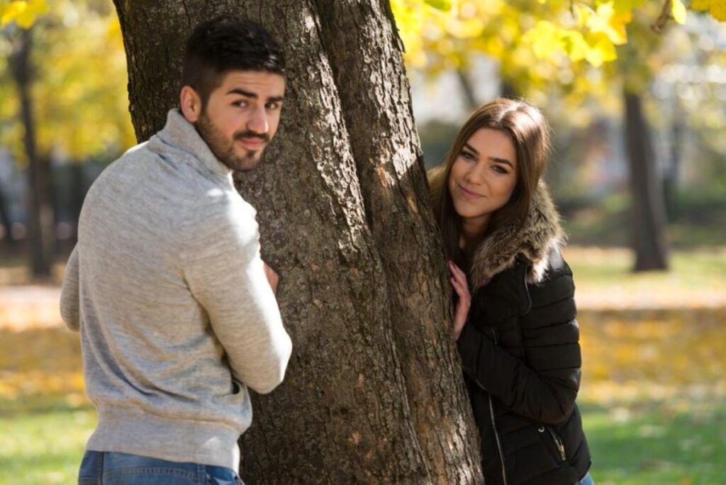 tree removal service