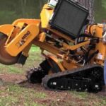 Affordable Stump Grinding & Tree Stump Removal Services in Sydney