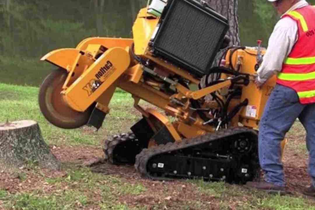 Affordable Stump Grinding & Tree Stump Removal Services in Sydney