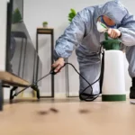 Rat Pest Control Sydney: How Experts Handle Infestations Safely