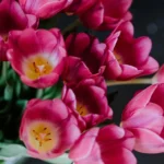 flower delivery Crows Nest