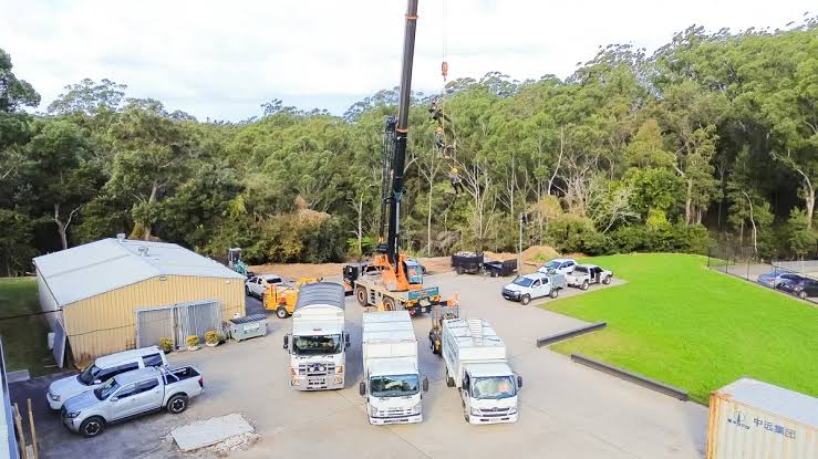 Tree Removal North Shore: A Local Guide for Sydney's Leafiest Suburbs

