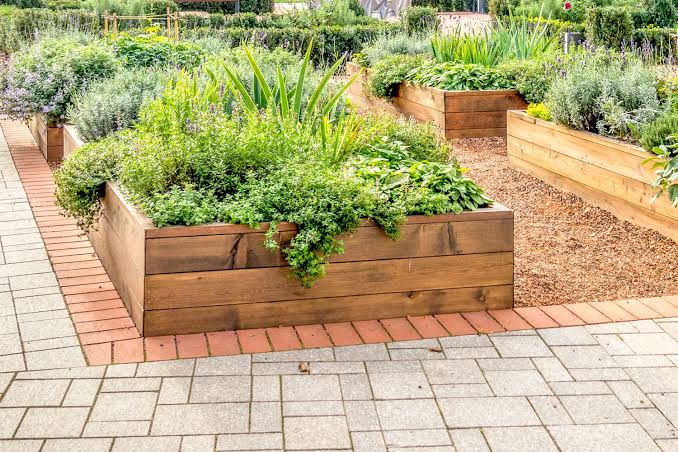 Wood Chip Mulch: The Cheapest Upgrade Your Garden Will Ever Get

