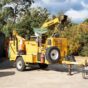 Tree Removal North Shore: A Local Guide for Sydney's Leafiest Suburbs