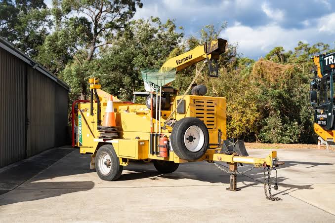 Tree Removal North Shore: A Local Guide for Sydney's Leafiest Suburbs
