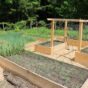 Wood Chip Mulch: The Cheapest Upgrade Your Garden Will Ever Get